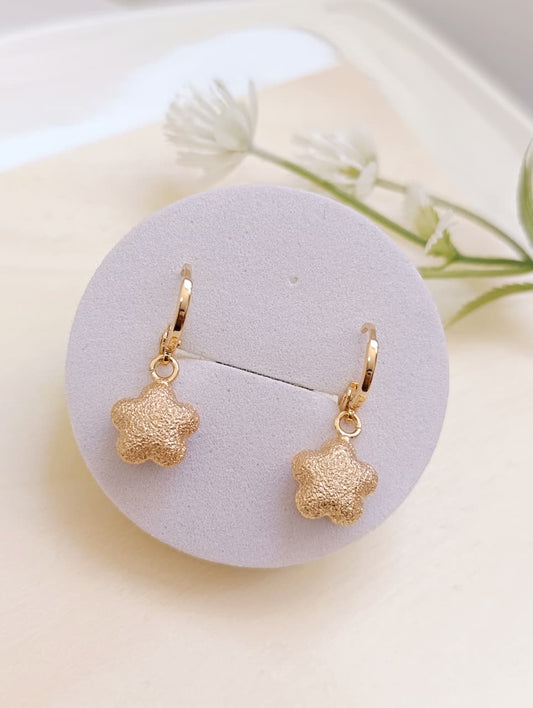 ARETES COLGANTES ESTRELLA